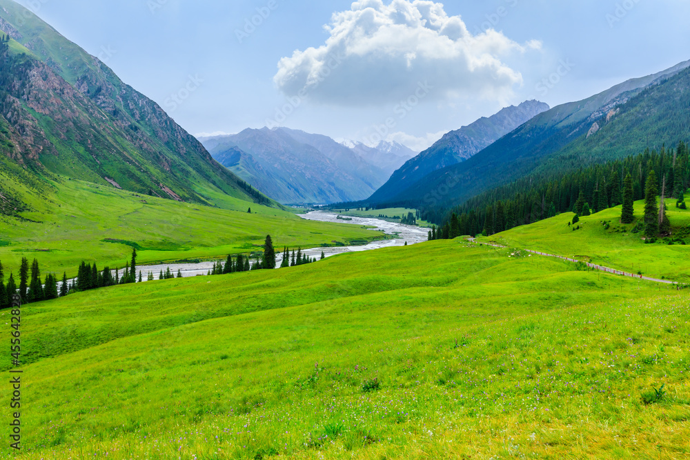 Beautiful grassland and green mountain natural scenery in Xinjiang,China.
