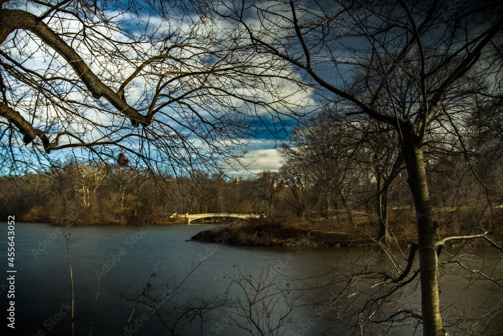 
Vista del Bow Bridge Central Park. New York, USA