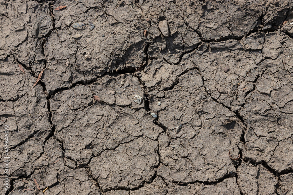 Fototapeta premium Cracked Earth and green grass. Dried Ground