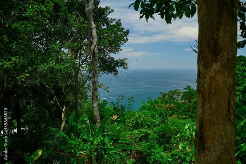 sea       view from the jungle of phuket island