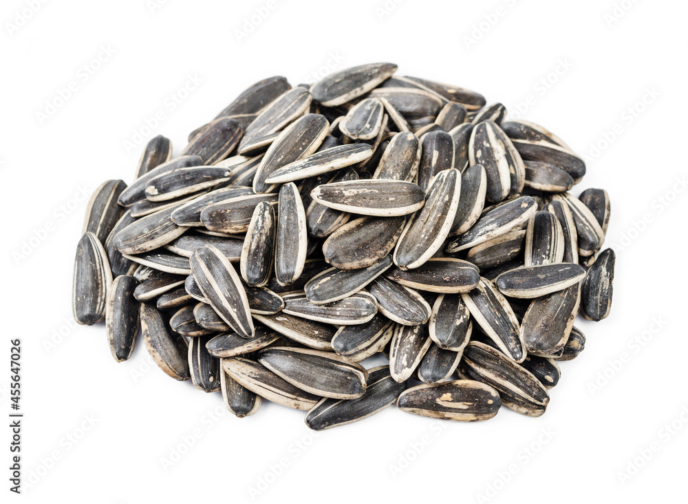 Dried Seed of Sunflower. Dried Seed of Sunflower.