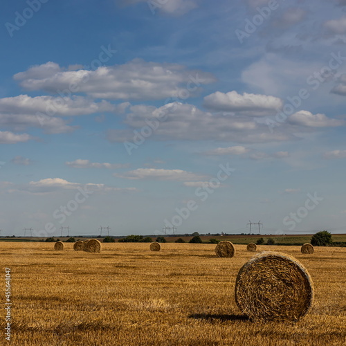 agricultural field with prickly straw from wheat, the grain from which was collected for food, wheat field on a Sunny summer day
