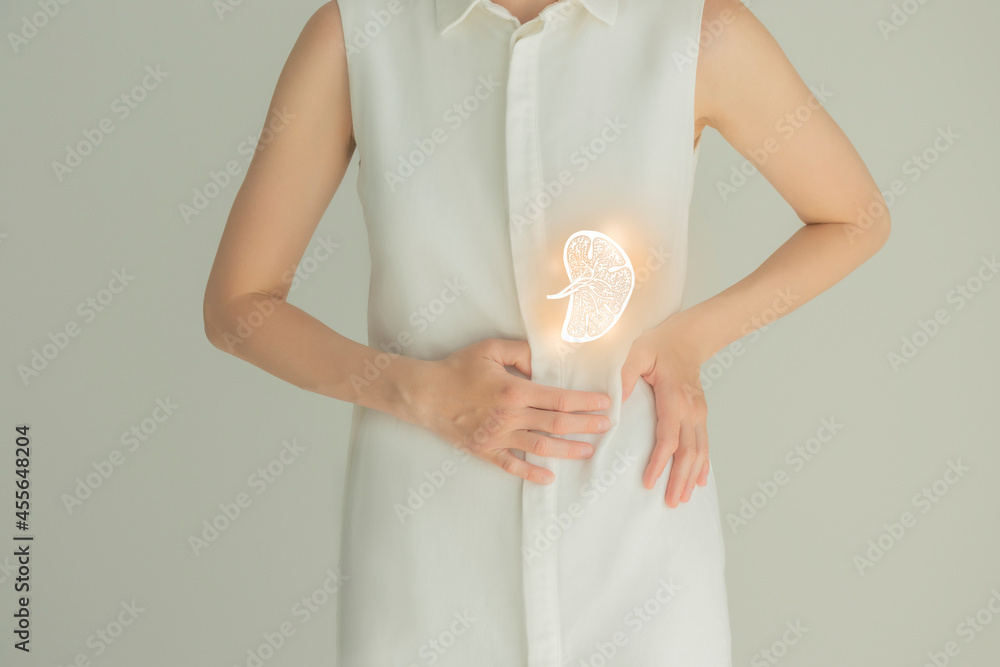 Woman in white clothes holding virtual spleen in hand. Handrawn human organ, detox and healthcare, healthcare hospital service concept stock photo - obrazy, fototapety, plakaty 