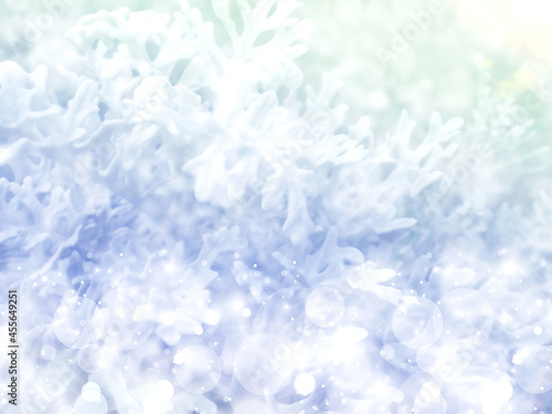 背景　背景素材　クリスマス　壁紙　テクスチャ　フレア　水色　植物　グラデーション　冬 © claris