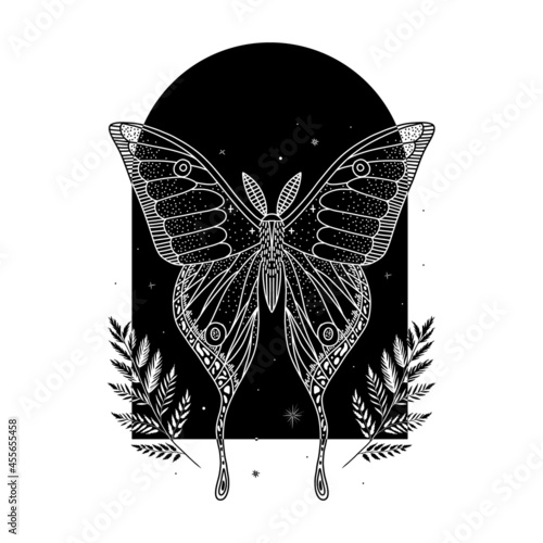 mystical illustration of a butterfly or moth. mysterious night in a secret garden. magic aesthetics, wildlife, retro vintage engraving style