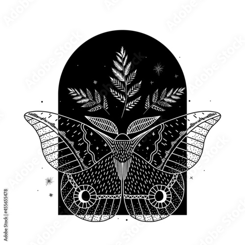 mystical illustration of a butterfly or moth. mysterious night in a secret garden. magic aesthetics, wildlife, retro vintage engraving style