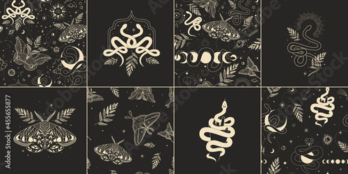 abstract illustration of mystical night. image of a snake, hands, phases of the moon and sun. sacred graphics geometry. mystical energy