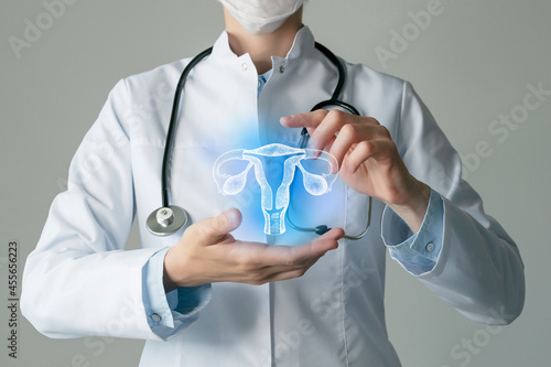 Gynecologist doctor, gynecology specialist. Aesthetic handdrawn highlighted illustration of human uterus. Neutral grey background, studio photo and collage.
