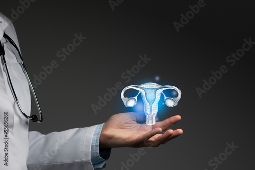 Gynecologist doctor, gynecology specialist. Aesthetic handdrawn highlighted illustration of human uterus. Dark grey background, studio photo and collage. photo