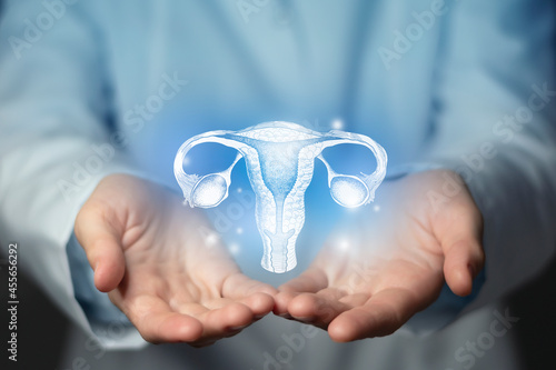 Gynecologist doctor, gynecology specialist. Aesthetic handdrawn highlighted illustration of human uterus. Neutral grey background, studio photo and collage. photo