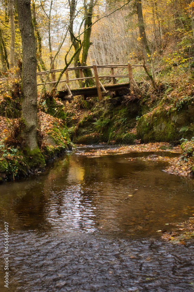 Bridge over a small pool of water at the top of the Rausch waterfall in the Rhineland Palatinate forest near Cochem, Germany on a fall day. Bridge over a small pool of water at the top of the Rausch waterfall in the Rhineland Palatinate forest near Cochem, Germany on a fall day.