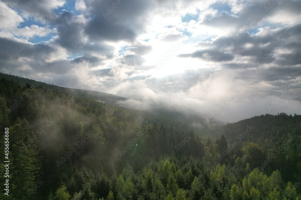 Foggy weather in mountains. Misty fog blowing over pine tree forest. Aerial view of spruce forest trees on the mountain hills at misty day. Morning fog at beautiful summer foresе. Sunrise