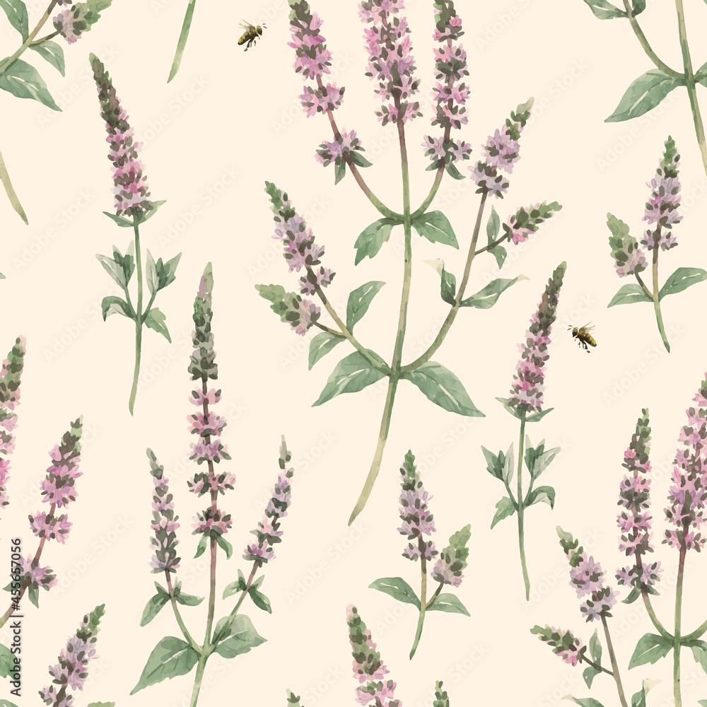 Beautiful vector floral seamless pattern with hand drawn watercolor spearmint flowers. Stock illustration. Beautiful vector floral seamless pattern with hand drawn watercolor spearmint flowers. Stock illustration.