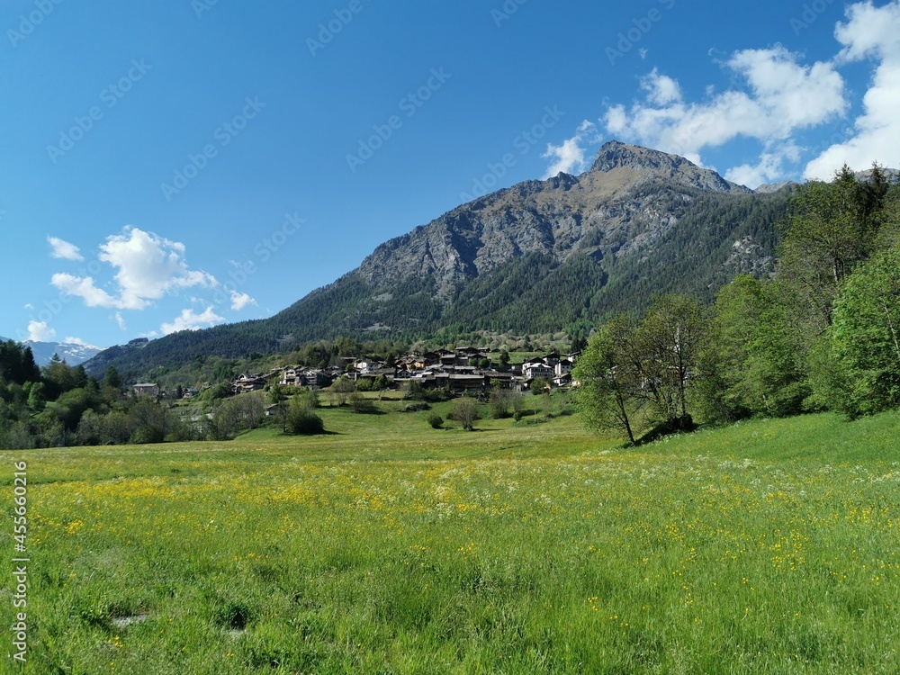 Fototapeta premium Nice green meadow in the Alps in Italy in Valle d'Aosta