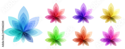 Colorful semi transparent petal abstract flowers. Vector illustration