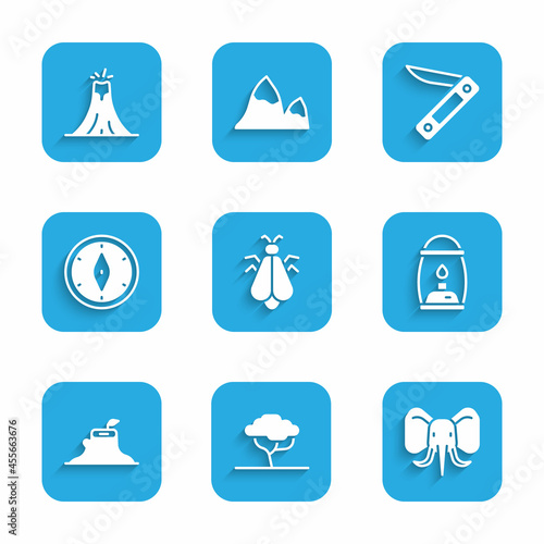 Set Mosquito  African tree  Elephant  Camping lantern  Tree stump  Compass  Swiss army knife and Volcano eruption icon. Vector
