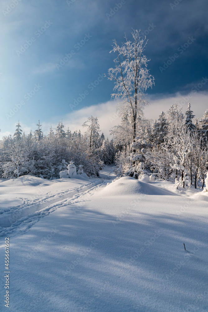 Winter mountains with snow, hiking trail, frozen trees and blue sky with clouds