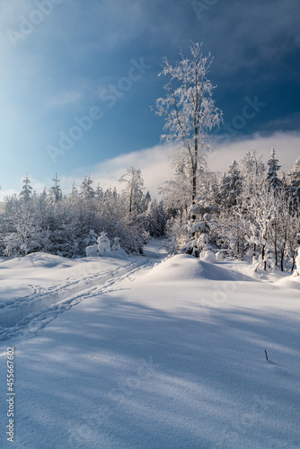 Winter mountains with snow, hiking trail, frozen trees and blue sky with clouds © honza28683