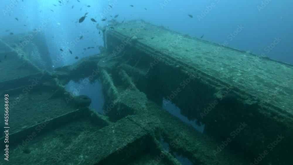 School of fishes Mediterranean chromis and Blacktail Bream swims above shipwreck Swedish ferry MS Zenobia. Wreck diving. Mediterranean sea, Cyprus School of fishes Mediterranean chromis and Blacktail Bream swims above shipwreck Swedish ferry MS Zenobia. Wreck diving. Mediterranean sea, Cyprus