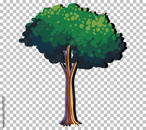 A tree isolated on transparent background
