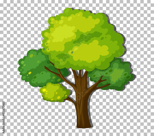 A tree with green leaves on transparent background
