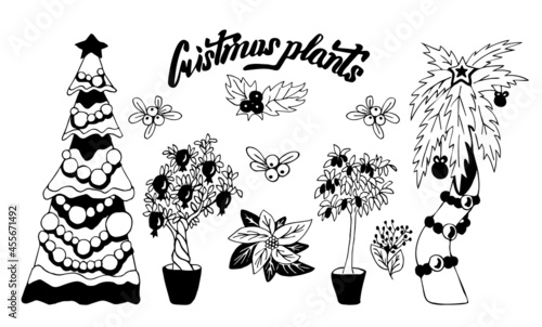 Vector set of Christmas plants isolated on a white background. New year vector sketch in Doodle style. Christmas trees of Greece, Africa, Asia, Japan. Linear black and white drawing. greeting card