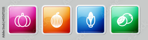 Set line Pumpkin, Watermelon, Corn and Orange fruit. Colorful square button. Vector