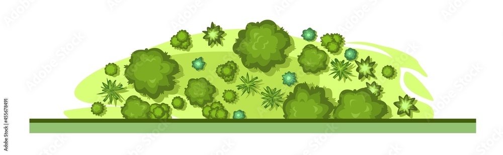 The edge of the forest. Trees and shrubs. View from above. Plant landscape. Green wildlife. Top view. Height. Illustration in cartoon style. Isolated on white background Vector