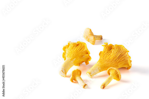 Chanterelle mushrooms lying on a white background.