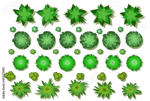 A set of trees and bushes. View from above. Height. Plant landscape. Green wildlife. Top view. Illustration in cartoon style. Isolated Vector
