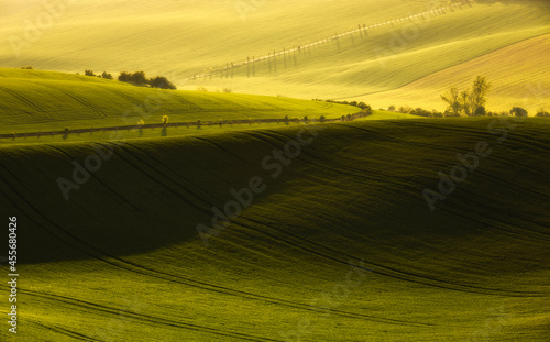 Fototapeta Naklejka Na Ścianę i Meble -  Field and sun
