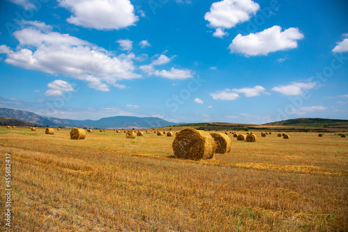 Rolled-up hay in a meadow against the background of mountains.