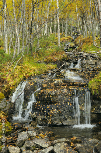 Zufluss zum Furusjoen See im Rondane Gebiet