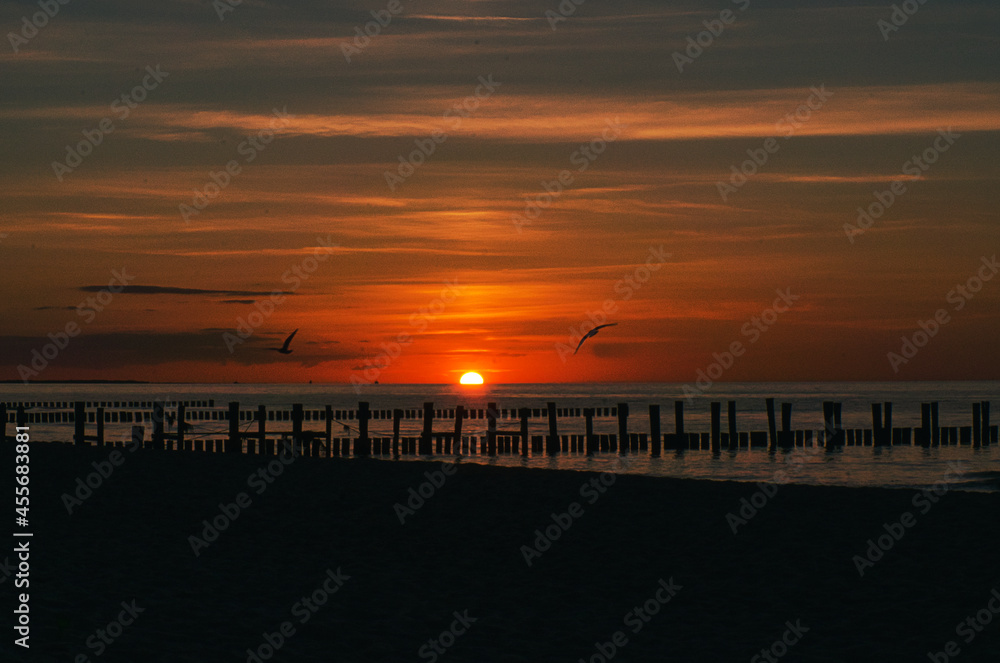 sunset in Zingst at the sea. red orange sun sets on the horizon. Seagulls circle in the sky