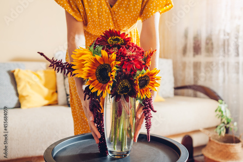 Fototapeta Naklejka Na Ścianę i Meble -  Woman puts vase with sunflowers and zinnia flowers on table. Housewife takes care of interior and fall decor at home.