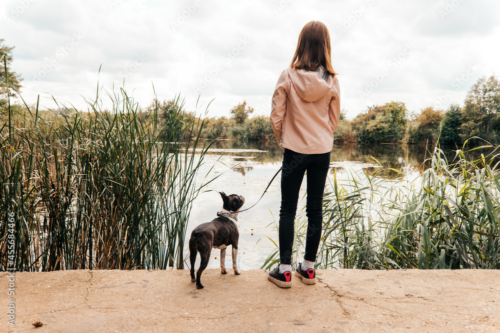 Little girl walking with a Boston Terrier dog on the lakeshore - with her back turned, her dog staring at her - fall scenery