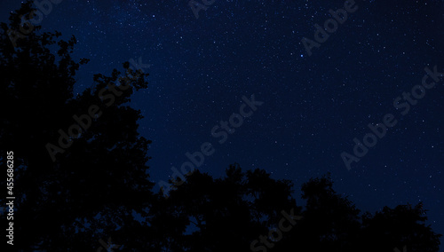 Stars and silhouetted trees with room for copy