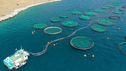 Aerial drone photo of latest technology auto feeding fish farming  - breeding unit of sea bass and sea bream in huge round cages located in calm Mediterranean sea