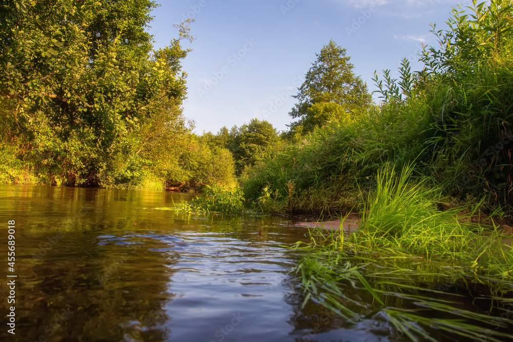 Scenery of sunset near river. Yellow light on green grass and bushes from evening sun. Travelling on the forest near river.