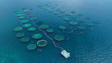 Aerial drone photo of large fish farming - breeding unit of sea bass and sea bream in huge round cages with latest technology automatic feeding system, calm deep sea of Anemokambi, Galaxidi, Greece