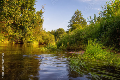 Obraz na płótnie Scenery of sunset near river. Yellow light on green grass and bushes from evening sun. Travelling on the forest near river. w salonie
