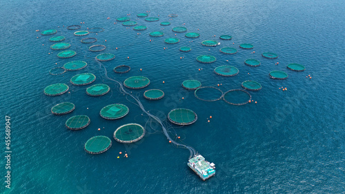 Aerial drone photo of large fish farming - breeding unit of sea bass and sea bream in huge round cages with latest technology automatic feeding system, calm deep sea of Anemokambi, Galaxidi, Greece