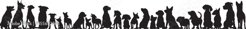Front view of dogs group standing or sitting of different breeds vector silhouette collection