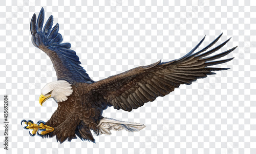 Obraz na plátne Bald eagle swoop attack hand draw and paint color on checkered background vector
