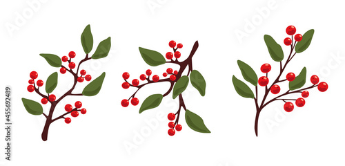 Decorative branches with berries and leaves. Winter branches for decoration. Vector illustration of branches.