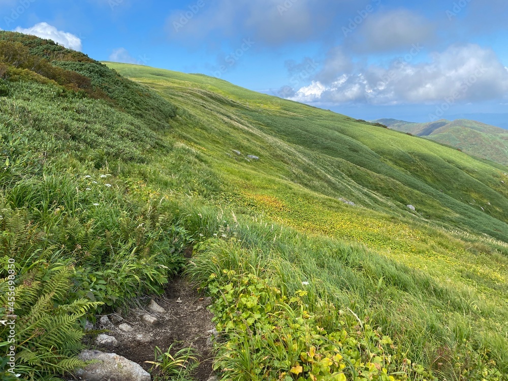 狩場山, 景色, 風景, 登山, トレッキング, 曇り, 北海道, せたな町, 自然, 背景, 背景素材, 緑, 空, 雲, 山稜, 晴れ, 絶景, 山景色, 山 狩場山, 景色, 風景, 登山, トレッキング, 曇り, 北海道, せたな町, 自然, 背景, 背景素材, 緑, 空, 雲, 山稜, 晴れ, 絶景, 山景色, 山