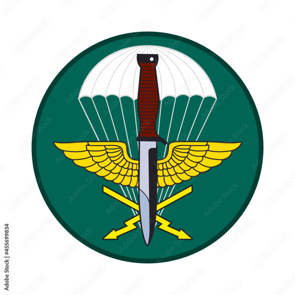 Fototapeta premium reconnaissance company emblem
