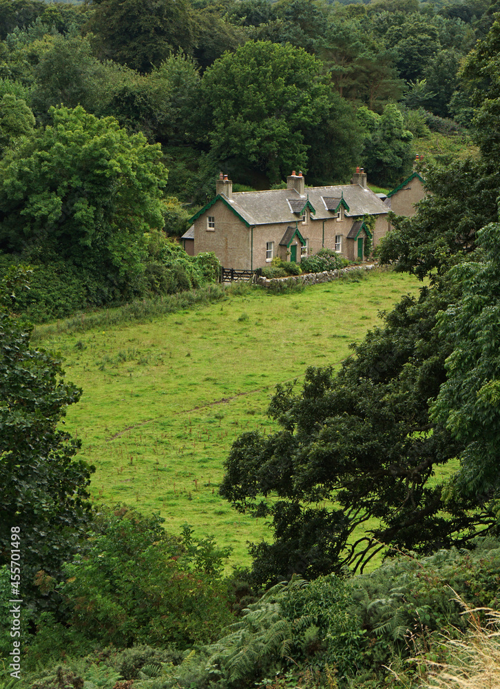 house in the forest, Audley's Castle, Strangford, Northern Ireland