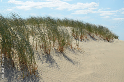dune, sable, plage