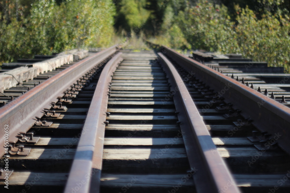 railroad tracks in the forest railroad tracks in the forest